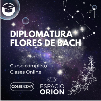 Formación Integral: Terapeuta Floral (Sistema Bach)