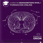 BIOMAGNETISMO - Nivel I