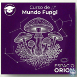 MUNDO FUNGI : PROPIEDADES MEDICINALES DE LOS HONGOS