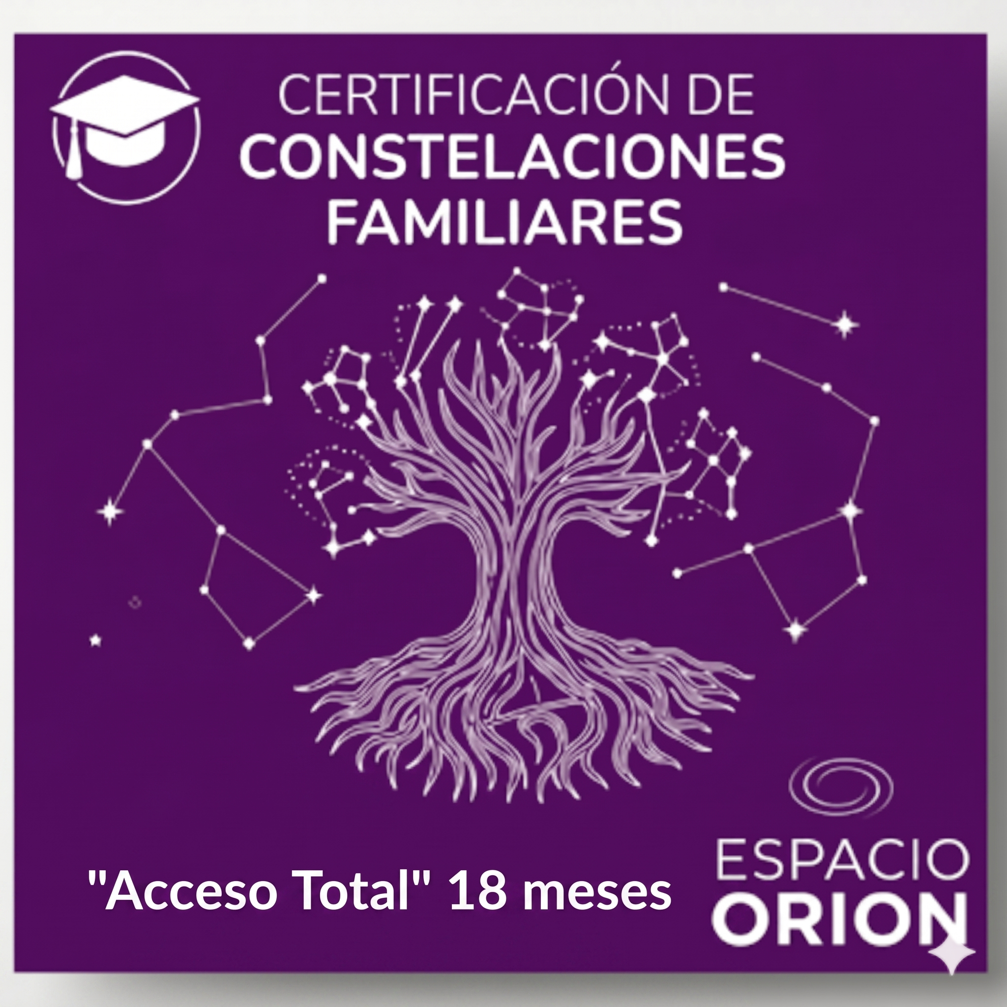 Formación Profesional en Constelaciones Familiares (Acceso Total)